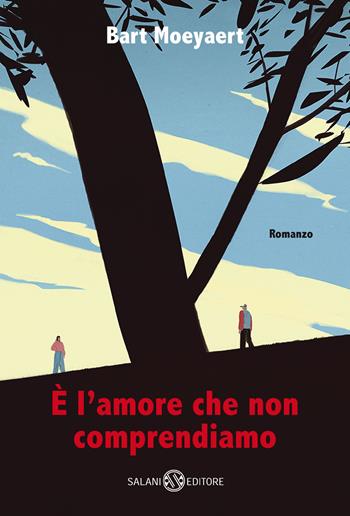 È l'amore che non comprendiamo - Bart Moeyaert - Libro Salani 2022, Romanzo | libraccio.xyz