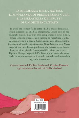Nina e Macchia e altre storie di alberi e giardini - Pia Pera - Libro Salani 2023, Fuori collana Salani | libraccio.xyz