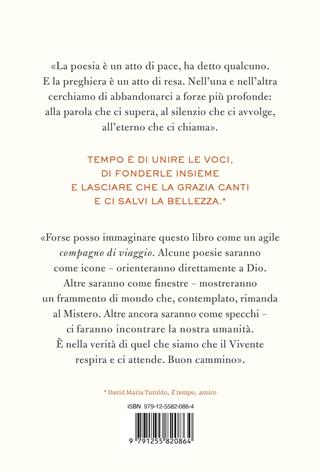 Nel tempo di Dio. Poesia e meditazione per le Ore del giorno - Paolo Alliata - Libro Ponte alle Grazie 2025, Fuori collana | libraccio.xyz