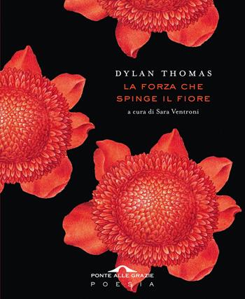 La forza che spinge il fiore - Dylan Thomas - Libro Ponte alle Grazie 2025, Poesia | libraccio.xyz
