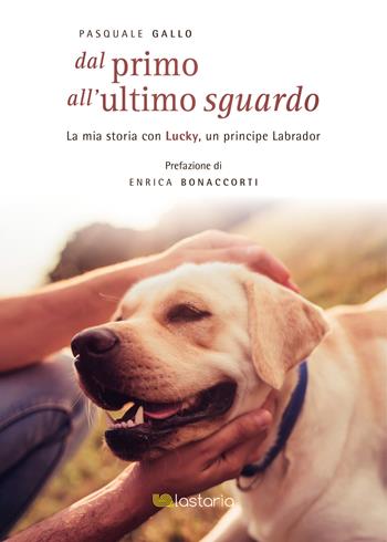 Dal primo all'ultimo sguardo - Pasquale Gallo - Libro Lastaria Edizioni 2021, Neon | libraccio.xyz
