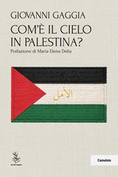 Com'è il cielo in Palestina?